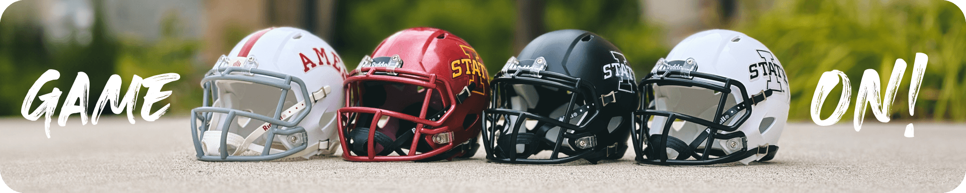 Riddell Mini Helmets